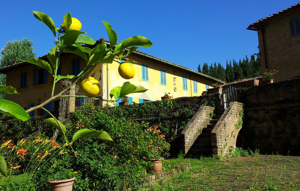 Bassetto Guesthouse & Apartments 切塔尔多 外观 照片