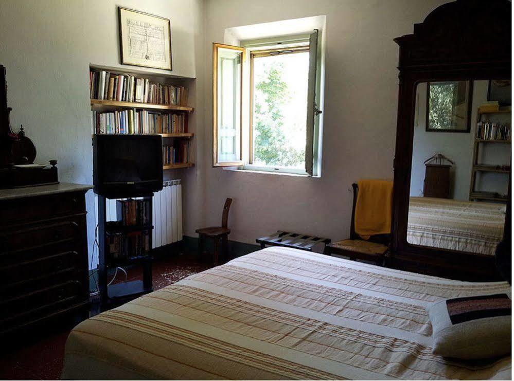 Bassetto Guesthouse & Apartments 切塔尔多 外观 照片