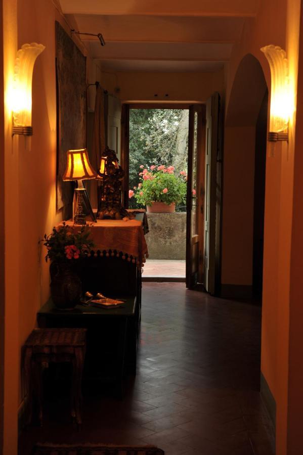 Bassetto Guesthouse & Apartments 切塔尔多 外观 照片